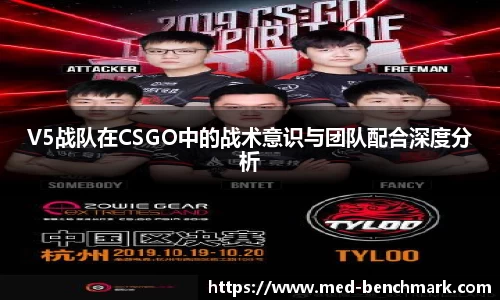 V5战队在CSGO中的战术意识与团队配合深度分析