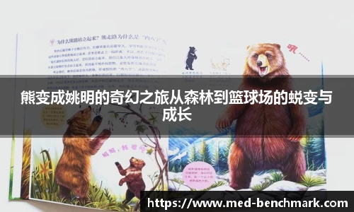 熊变成姚明的奇幻之旅从森林到篮球场的蜕变与成长